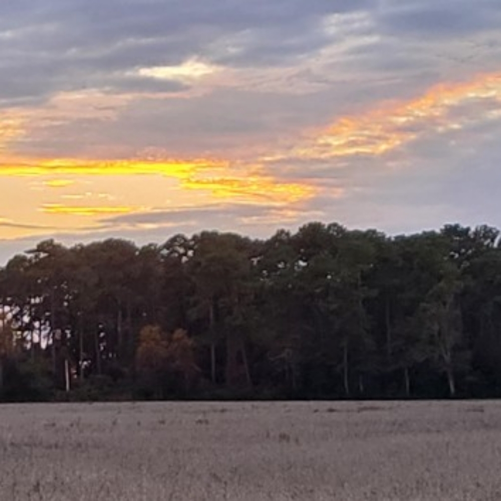 Meet your Posher, DA